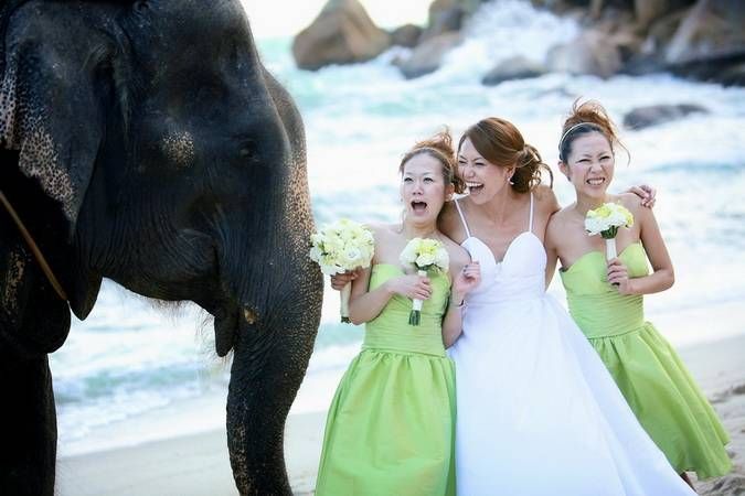 Phuket marriage proposal and wedding planner